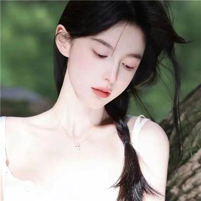再见，拿破仑